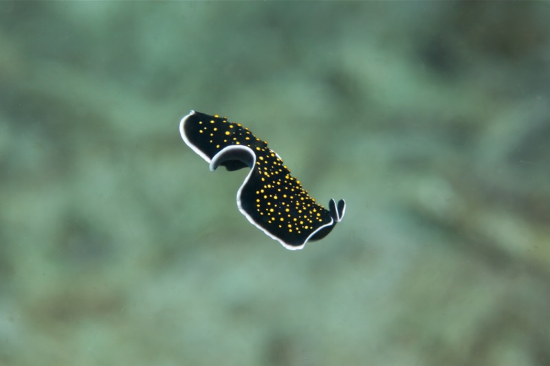 Photographer:Juergen Stamms