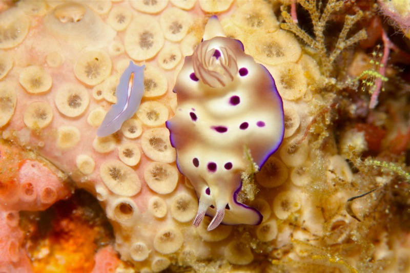 Photographer:Juergen Stamms