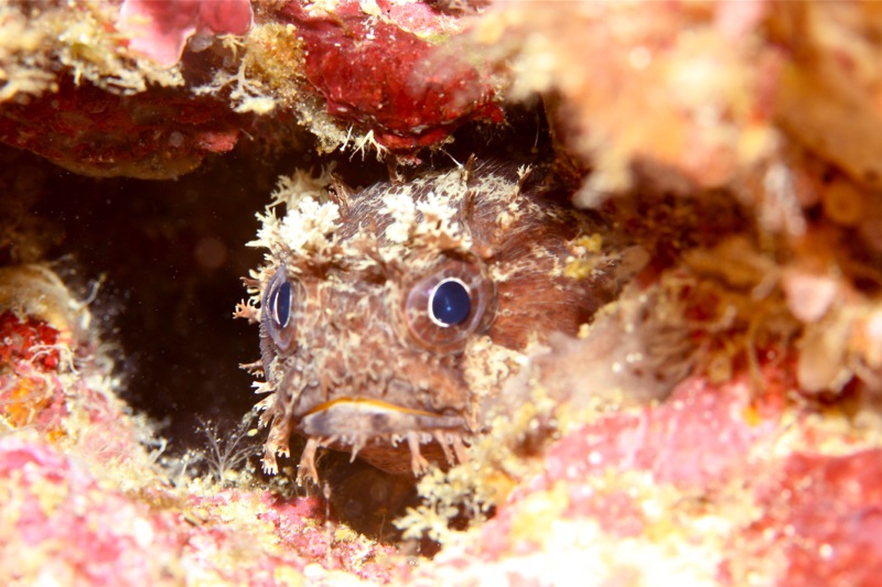 Photographer:Juergen Stamms