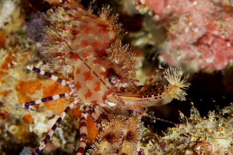 Photographer:Juergen Stamms