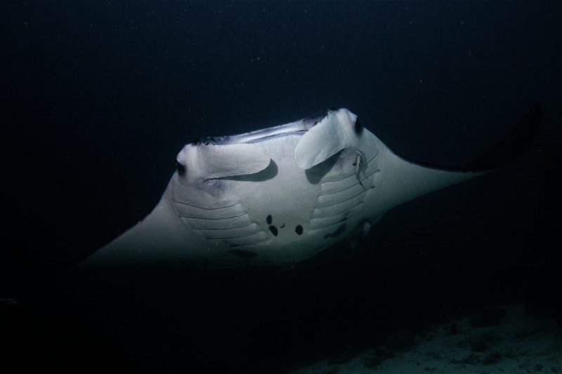 Photographer:Juergen Stamms