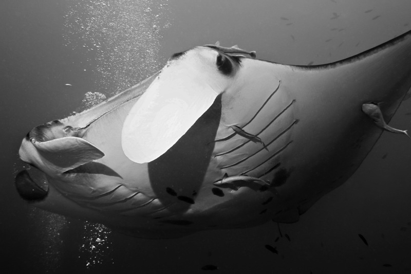 Photographer:Juergen Stamms