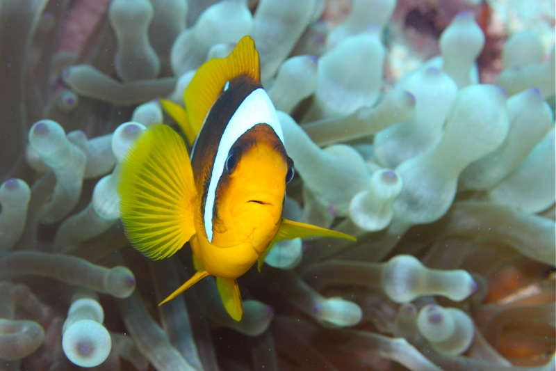 Photographer:Juergen Stamms