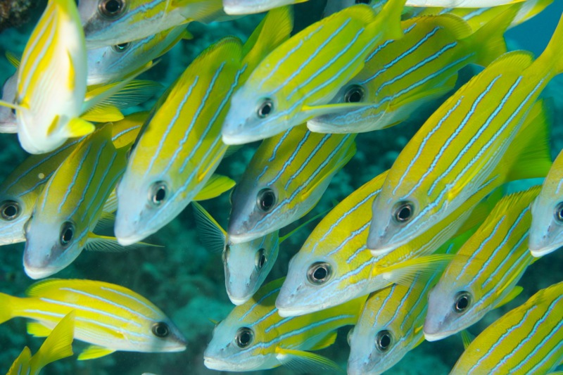 Photographer:Juergen Stamms