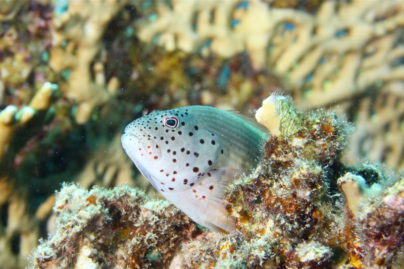 Photographer:Juergen Stamms