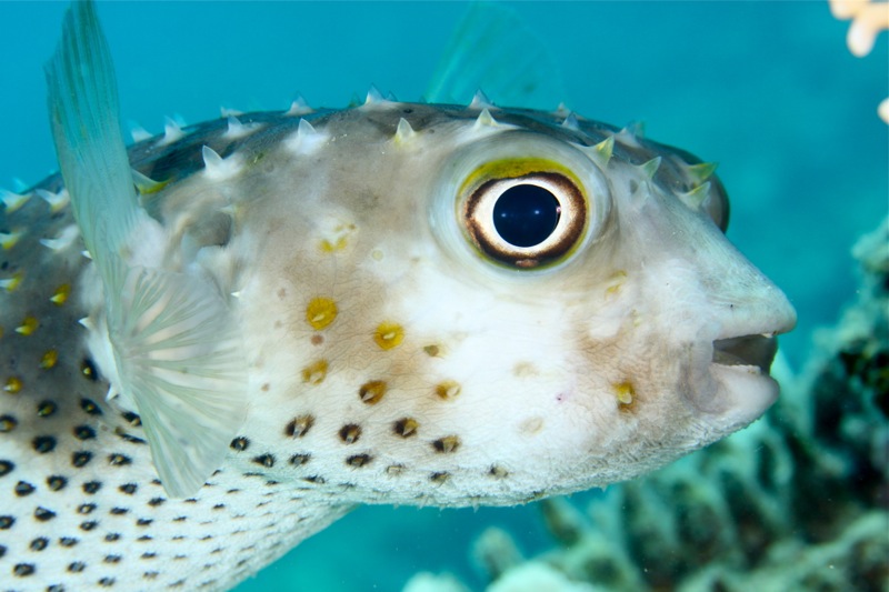 Photographer:Juergen Stamms