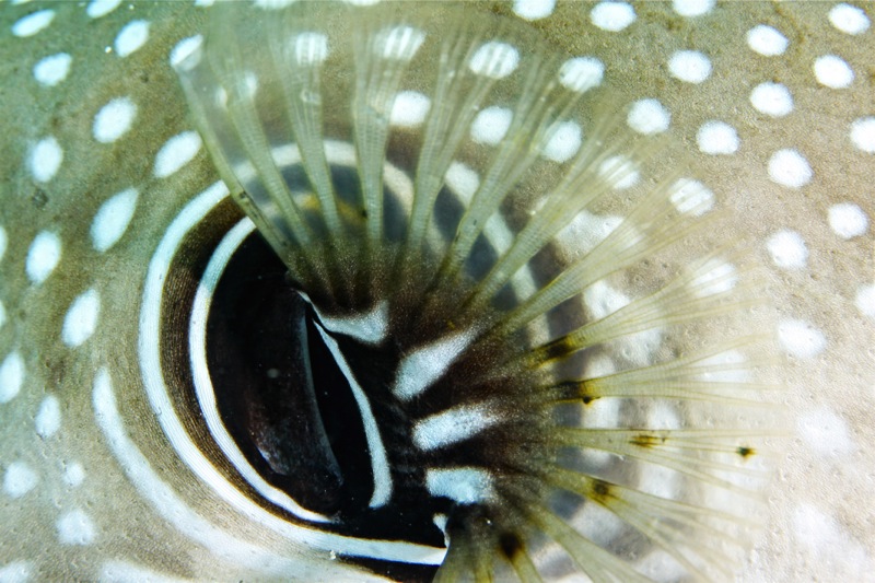 Photographer:Juergen Stamms