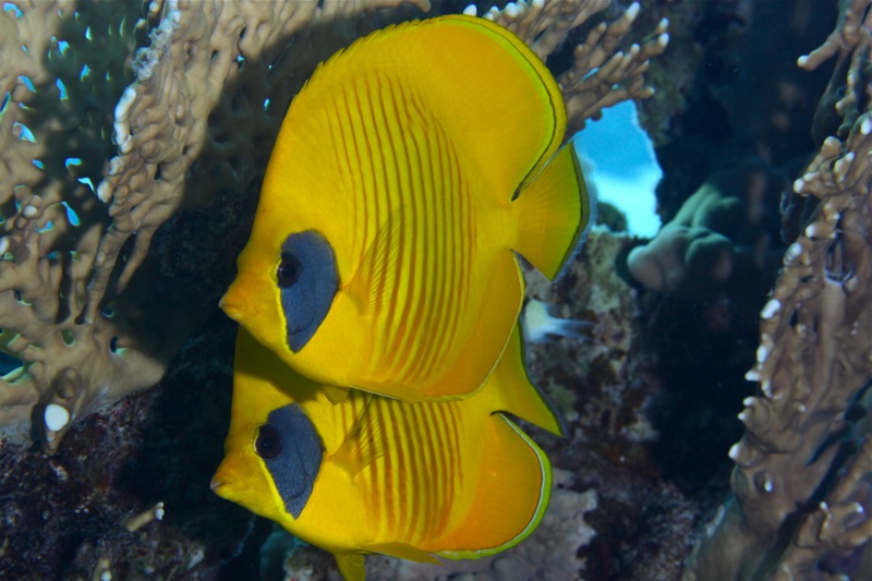 Photographer:Juergen Stamms