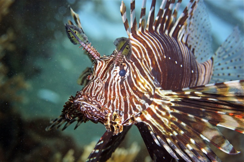 Photographer:Juergen Stamms