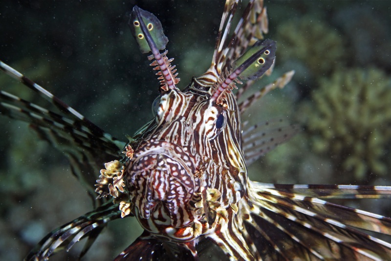 Photographer:Juergen Stamms