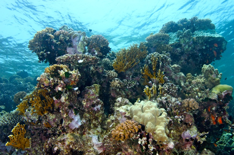 Photographer:Juergen Stamms