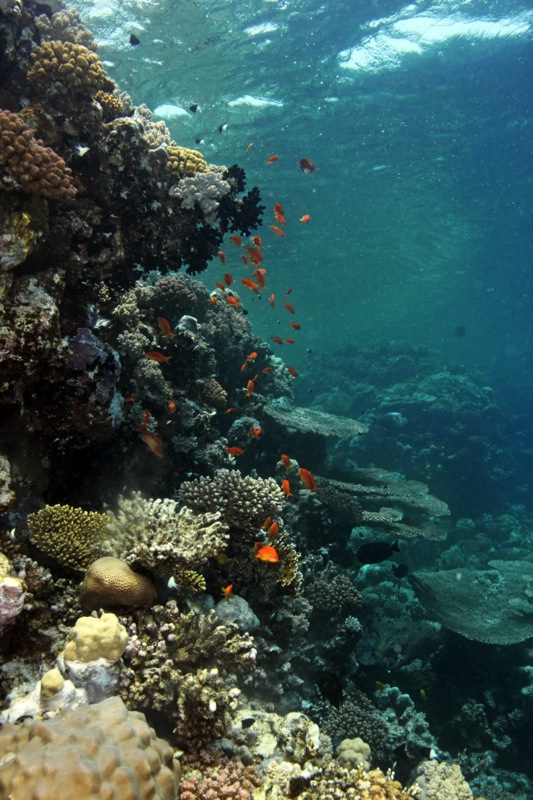 Photographer:Juergen Stamms