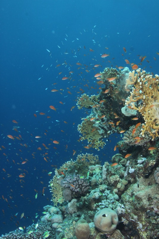 Photographer:Juergen Stamms