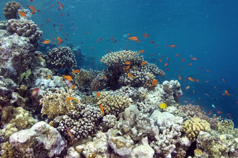 Photographer:Juergen Stamms