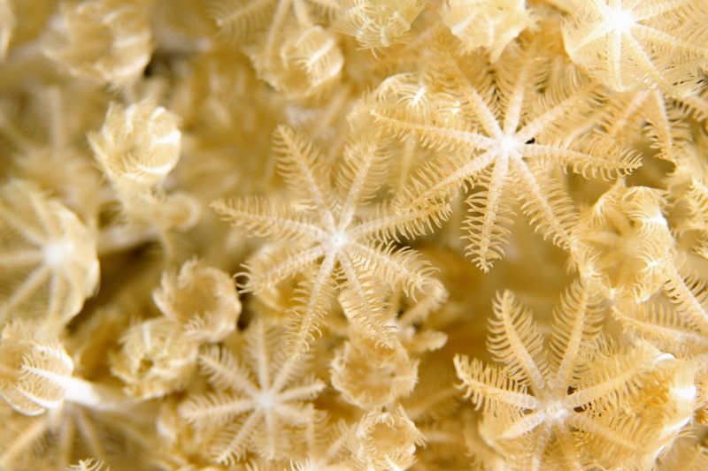 Photographer:Juergen Stamms