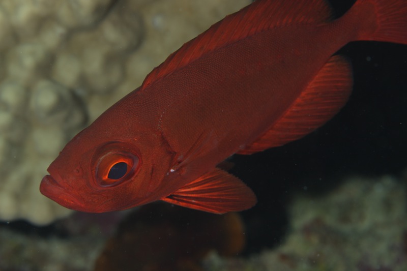 Photographer:
Juergen Stamms