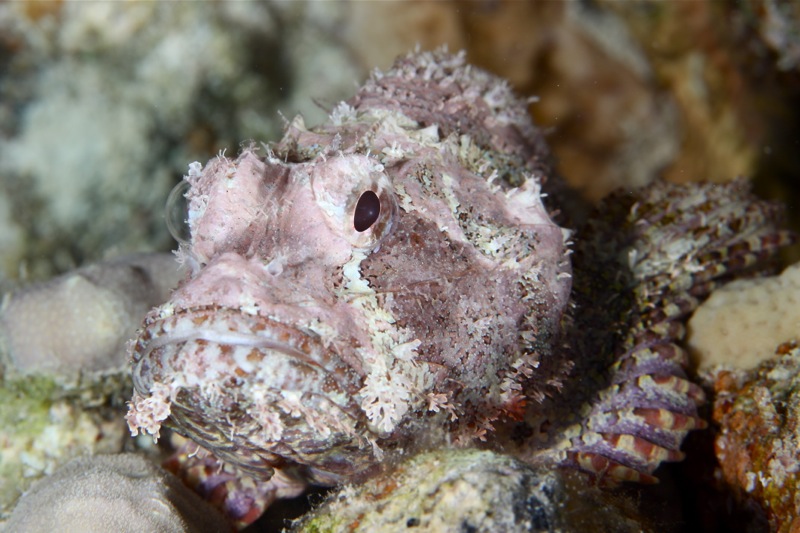 Photographer:Juergen Stamms