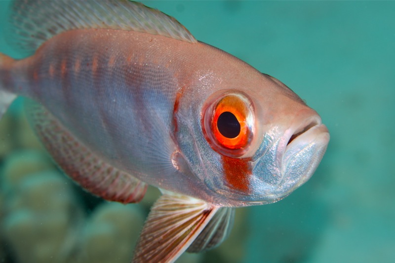 Photographer:Juergen Stamms