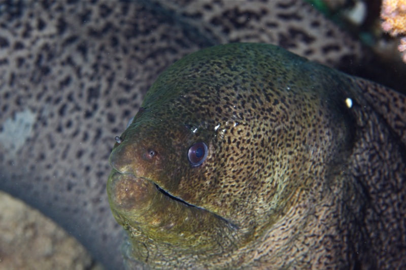 Photographer:Juergen Stamms