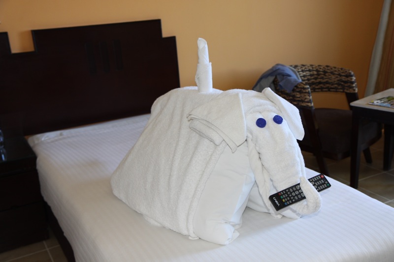 Photographer:
Juergen Stamms