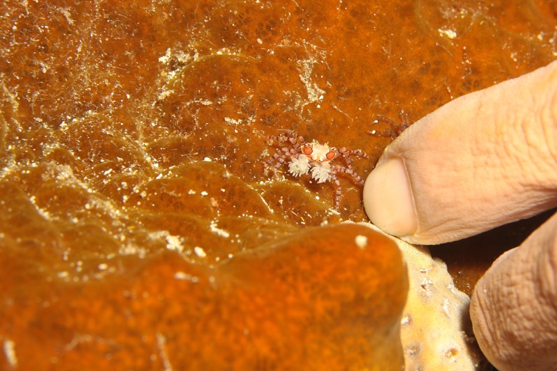 Photographer:
Juergen Stamms