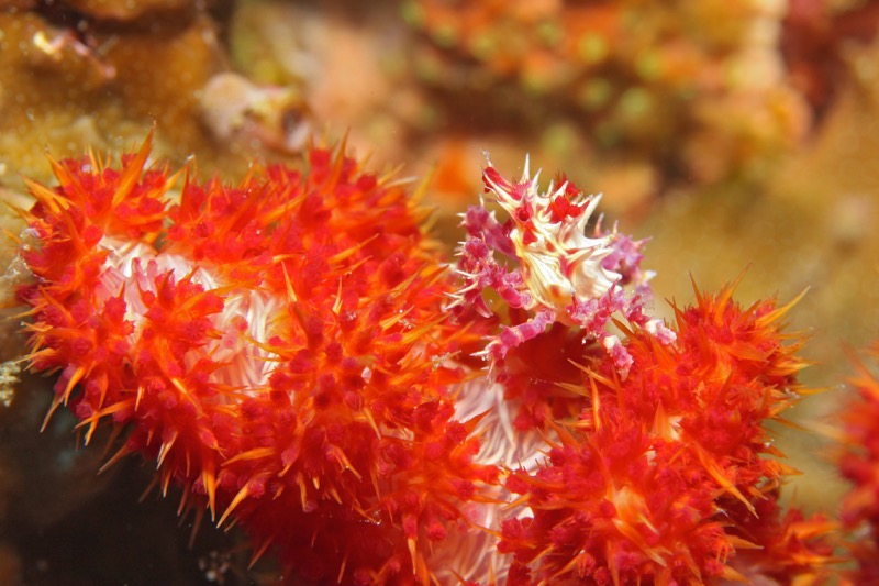 Photographer:
Juergen Stamms