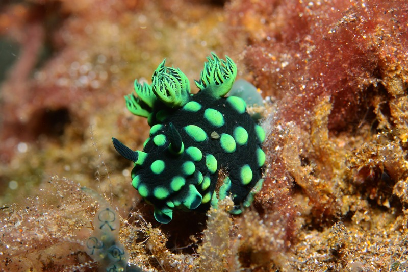 Photographer:
Juergen Stamms