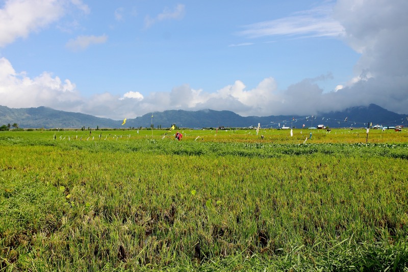 Photographer:
Juergen Stamms