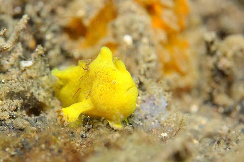 Photographer:
Juergen Stamms