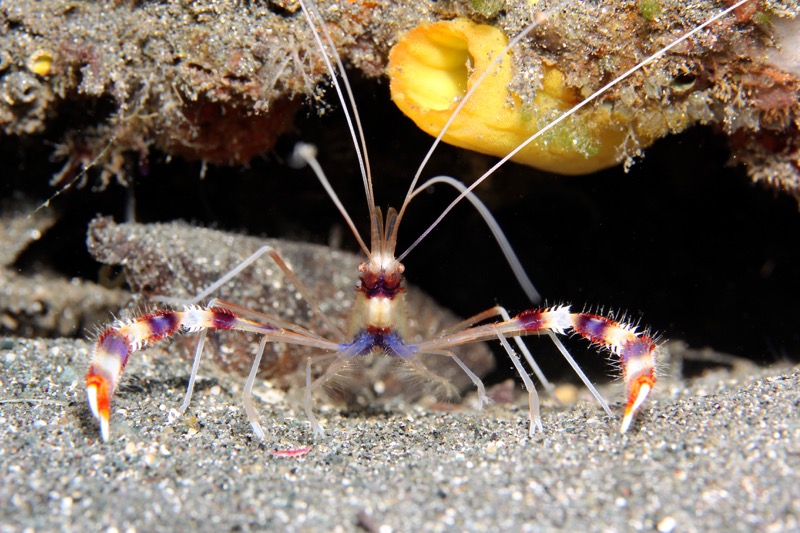 Photographer:
Juergen Stamms