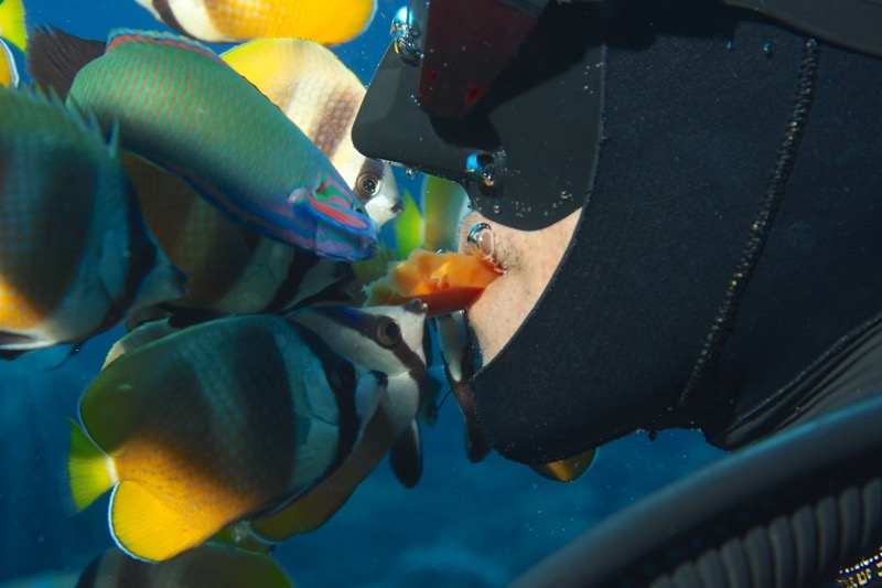 Photographer:
Juergen Stamms