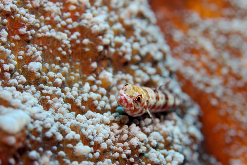 Photographer:
Juergen Stamms