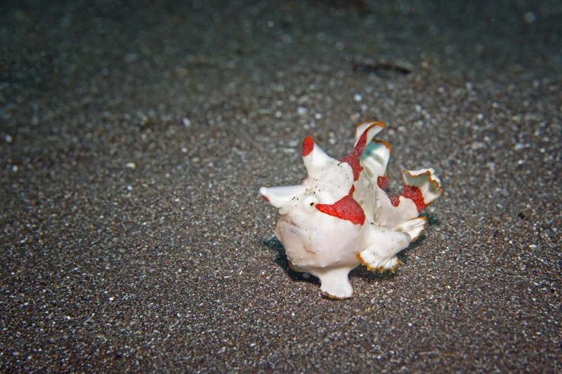 Photographer:
Juergen Stamms