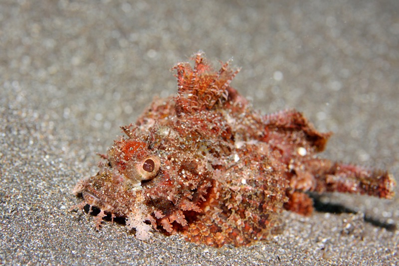 Photographer:
Juergen Stamms