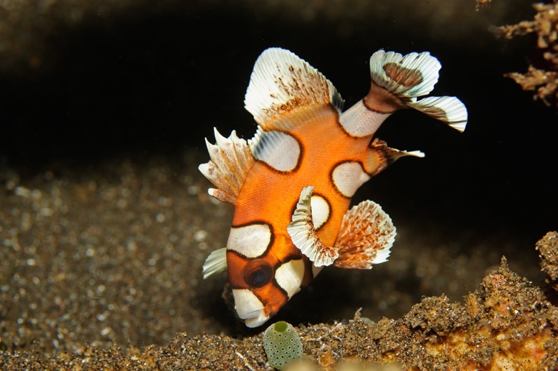 Photographer:
Juergen Stamms