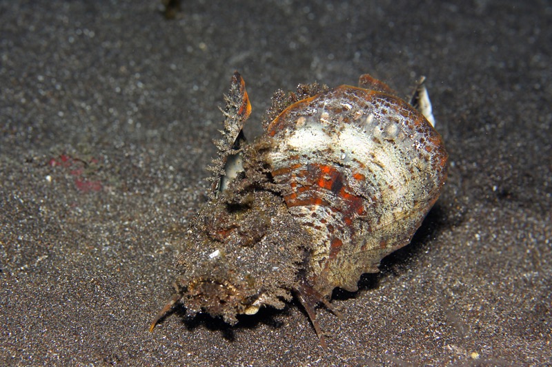 Photographer:
Juergen Stamms