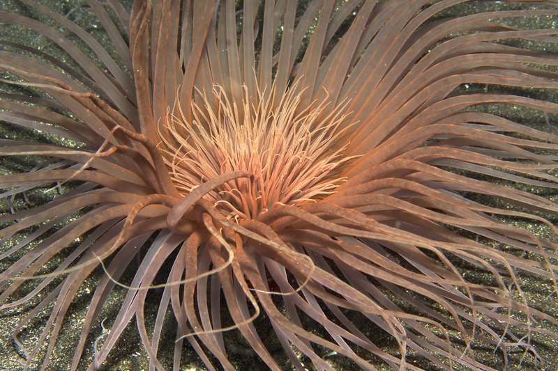 Photographer:
Juergen Stamms