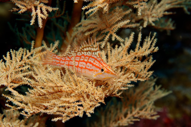 Photographer:
Juergen Stamms