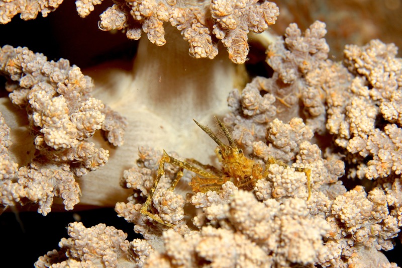 Photographer:
Juergen Stamms