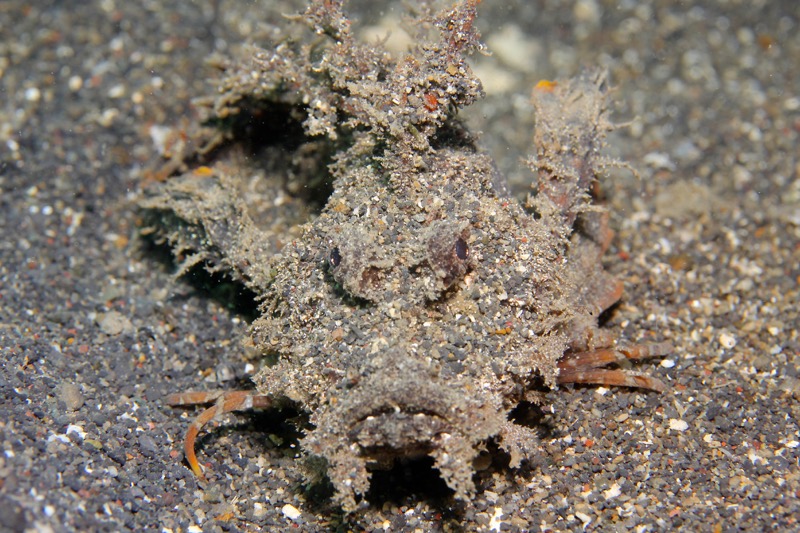 Photographer:
Juergen Stamms