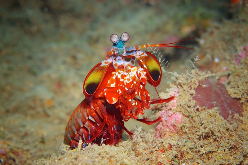 Photographer:
Juergen Stamms