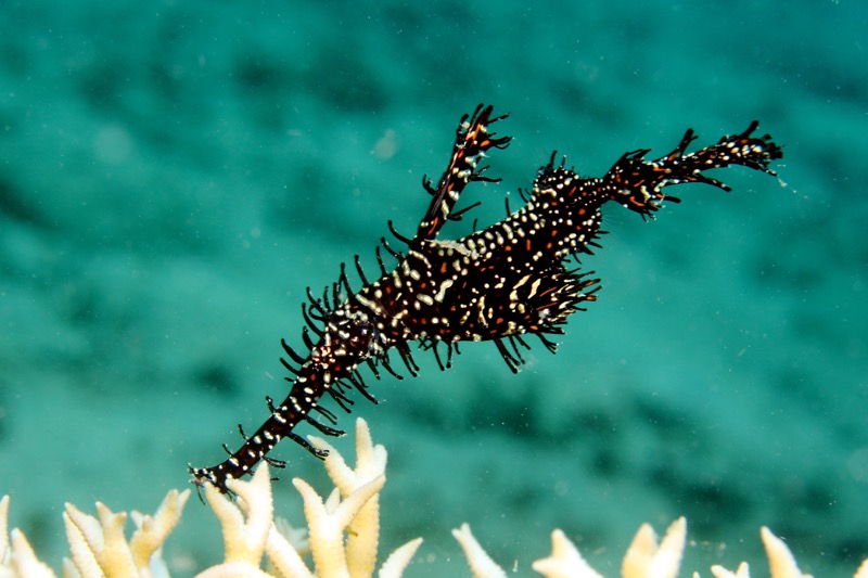 Photographer:
Juergen Stamms