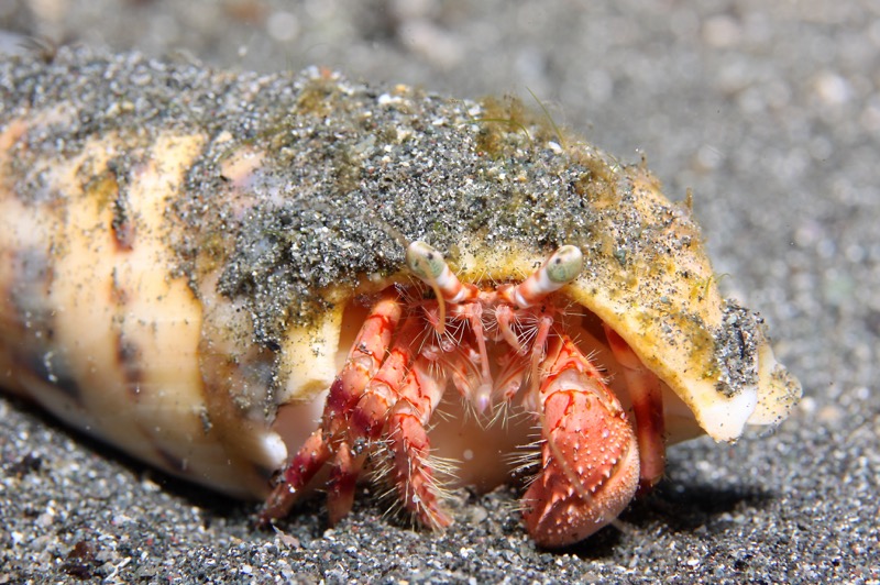 Photographer:
Juergen Stamms