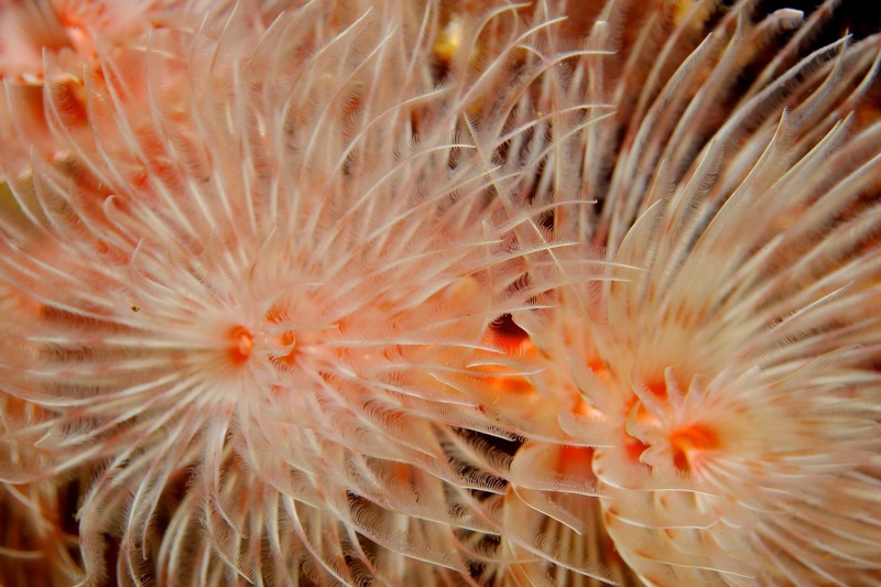 Photographer:
Juergen Stamms