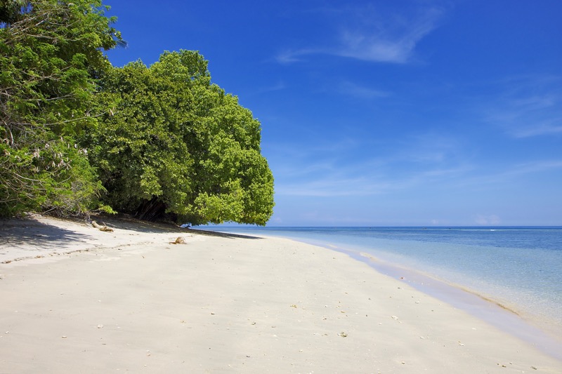 Photographer:
Juergen Stamms