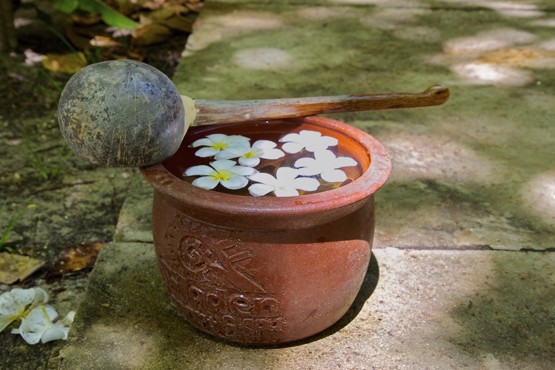 Photographer:
Juergen Stamms