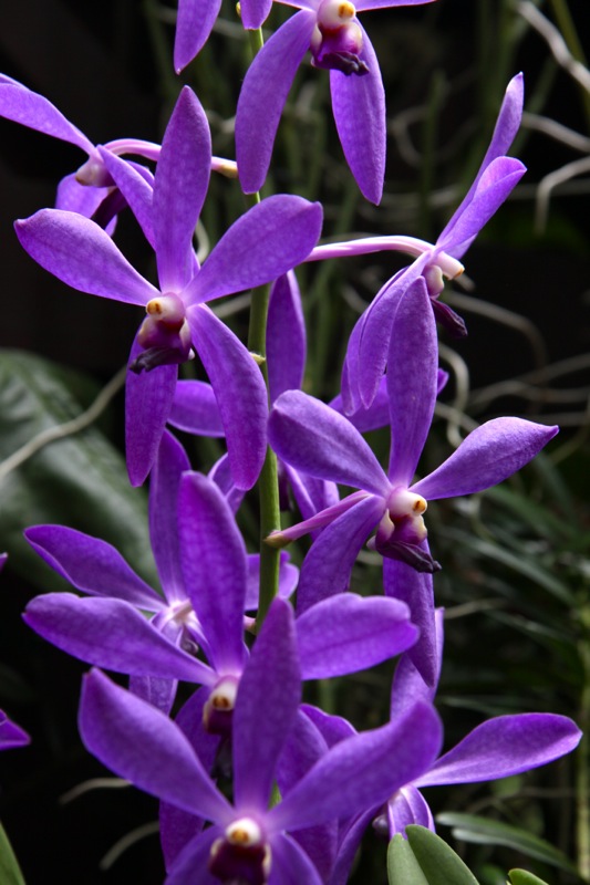 Photographer:Juergen Stamms