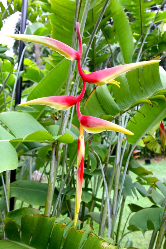 Photographer:Juergen Stamms