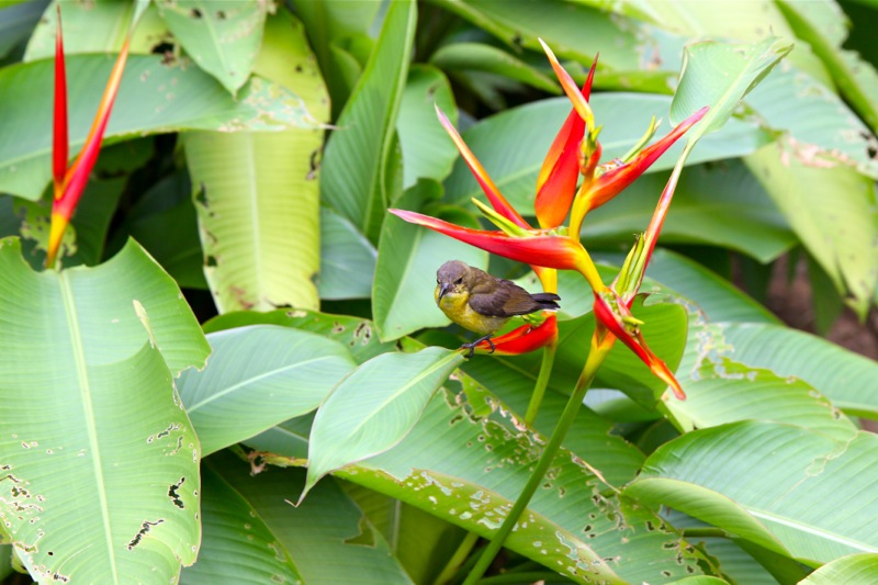 Photographer:Juergen Stamms