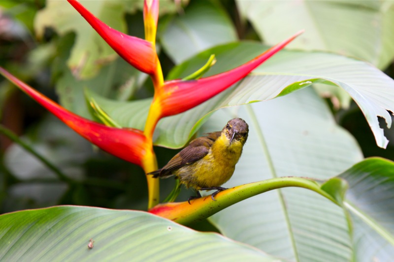 Photographer:Juergen Stamms